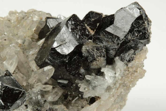 Lustrous Cassiterite Crystals With Quartz - Viloco Mine, Bolivia #192166